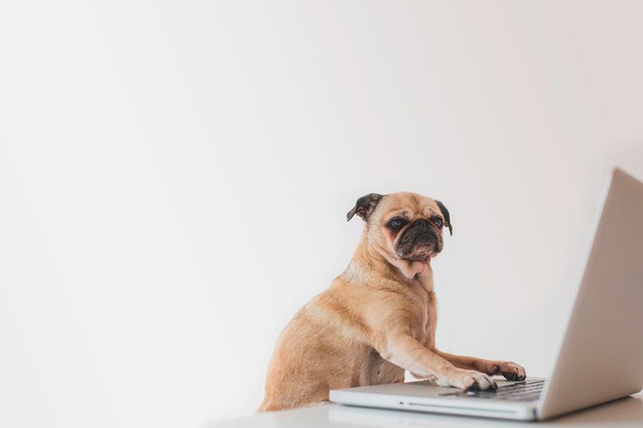 Riktig software og tekniske løsninger er avgjørende for å kunne drifte et bra kundesenter